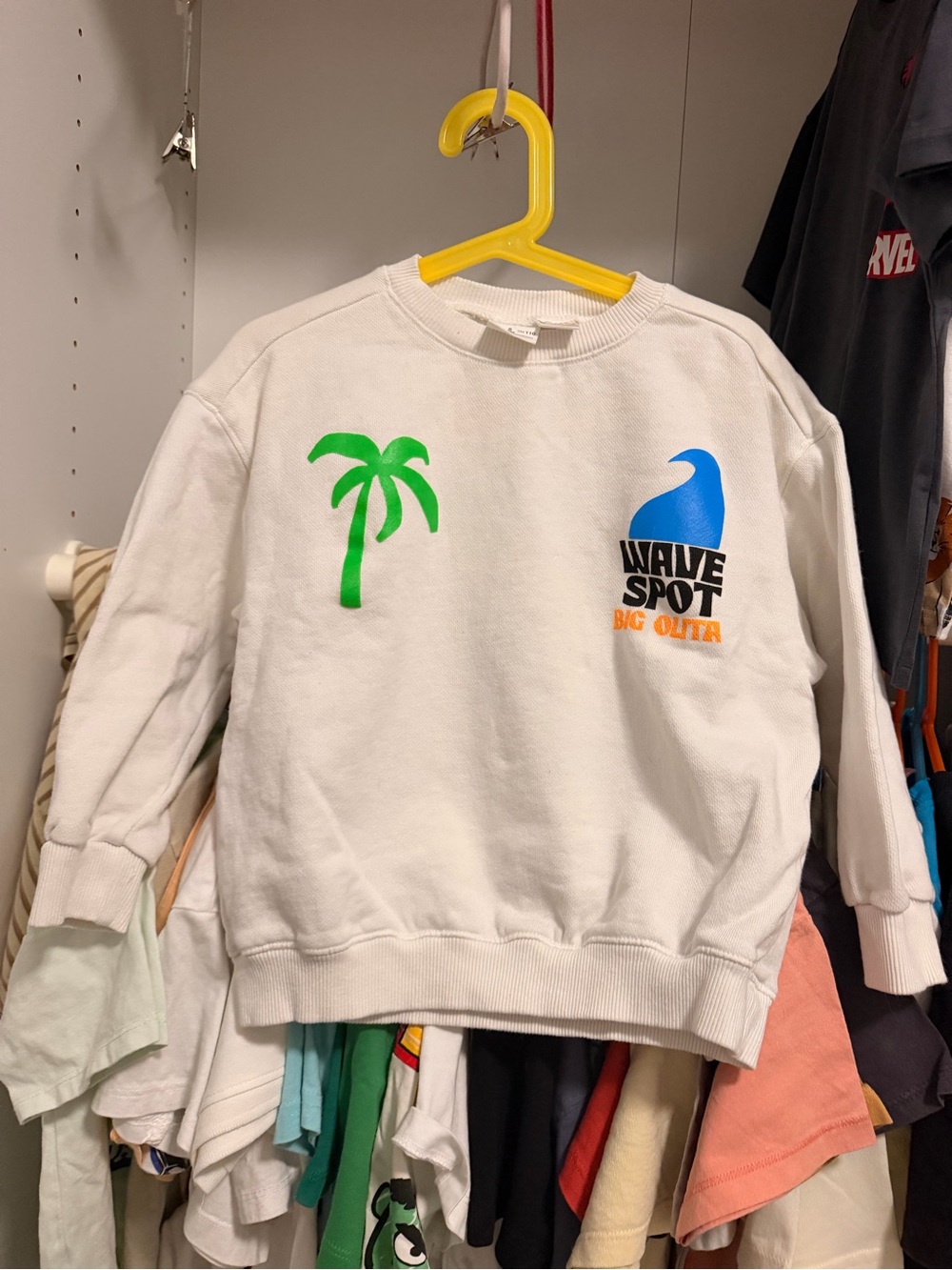 Zara boys 4-5 years Kids White 'Wave Spot' Graphic Sweatshirt with Green Palm